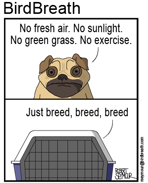 Puppy mills
